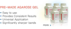 PRE-MADE AGAROSE GEL